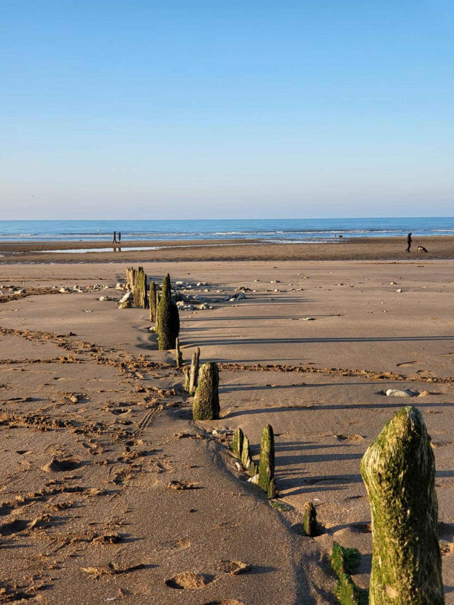 Charmante Petite Villa Sur Deauville Trouville-Sur-Mer Touques Exteriör bild